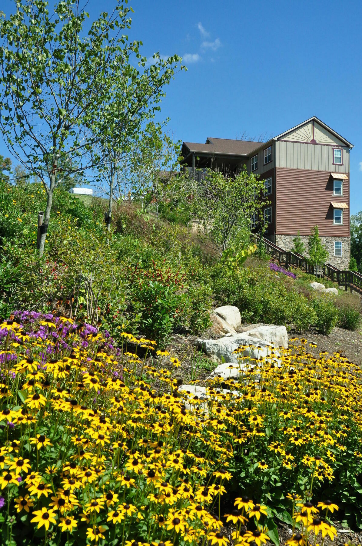The Lodges Of The Great Smoky Mountains Pigeon Forge Exteriör bild